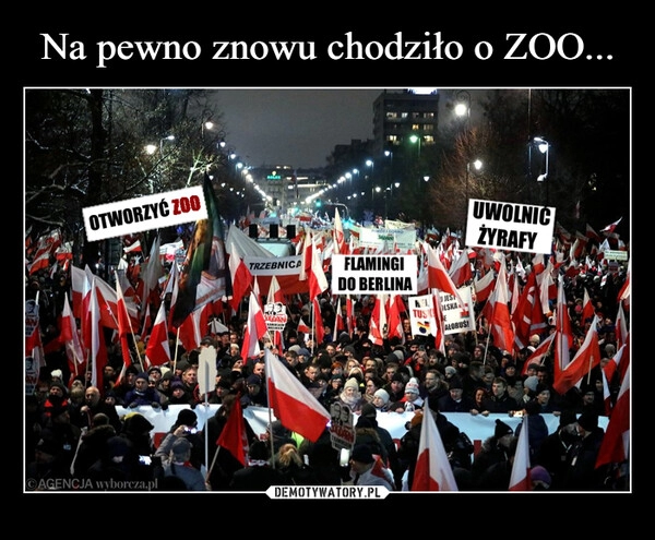 
    Na pewno znowu chodziło o ZOO...