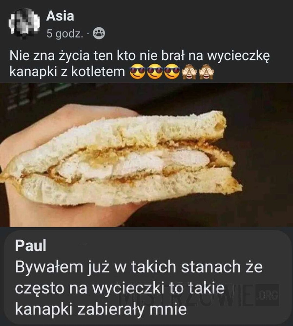 
    Kanapki z kotletem