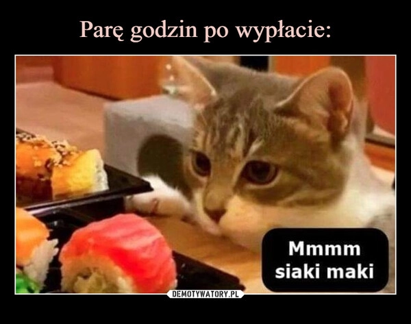 
    Parę godzin po wypłacie: