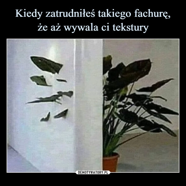 
    Kiedy zatrudniłeś takiego fachurę,
że aż wywala ci tekstury