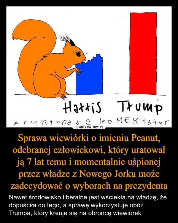 
    Sprawa wiewiórki o imieniu Peanut, odebranej człowiekowi, który uratował ją 7 lat temu i momentalnie uśpionej przez władze z Nowego Jorku może zadecydować o wyborach na prezydenta