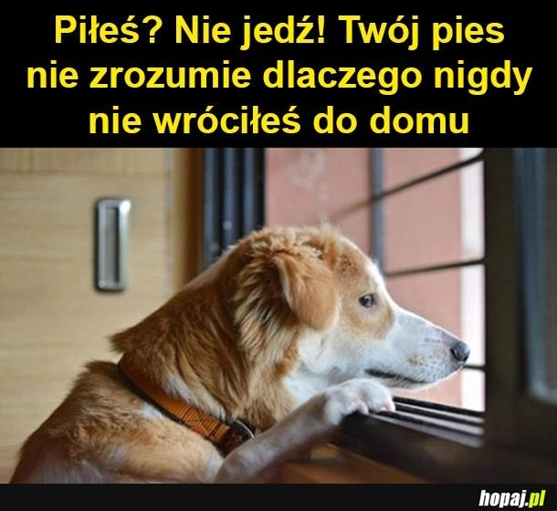 
    Pamiętaj o piesku