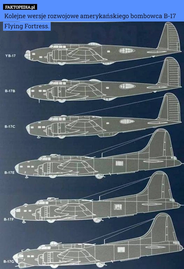 
    Kolejne wersje rozwojowe amerykańskiego bombowca B-17 Flying Fortress.