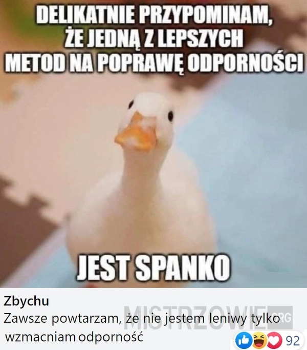 
    Spanko