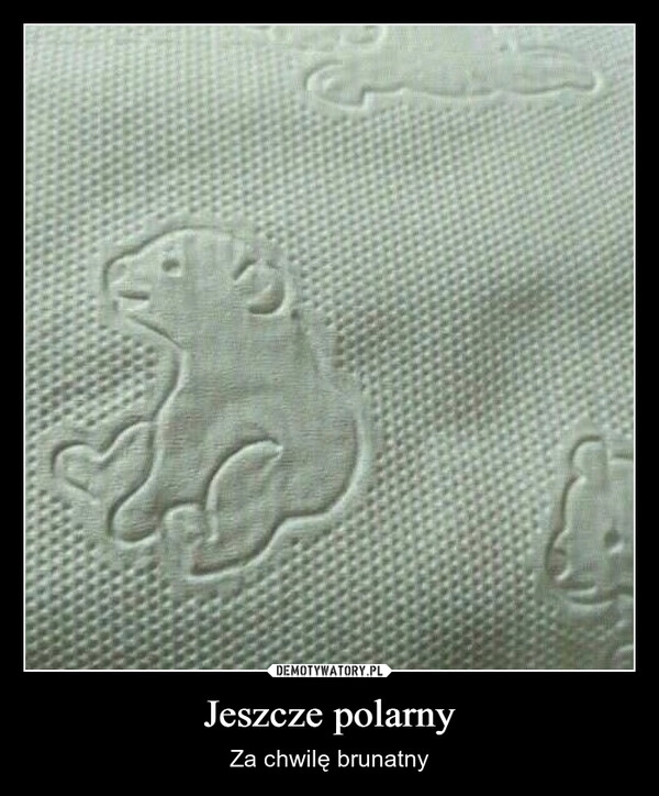 
    Jeszcze polarny