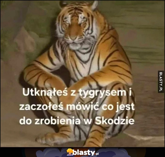 
    Utknąłeś z tygrysem i zacząłeś mówić co jest do zrobienia w Skodzie