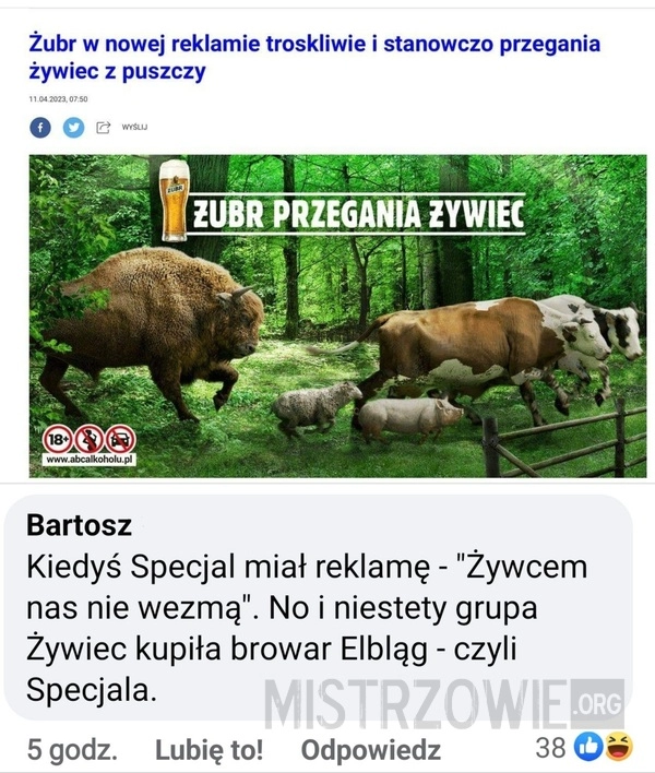 
    Żubr