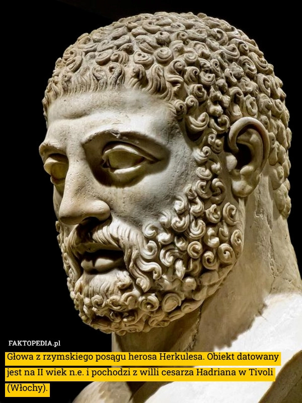 
    Głowa z rzymskiego posągu herosa Herkulesa. Obiekt datowany jest na II wiek