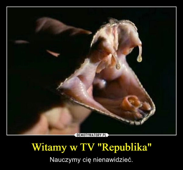 
    Witamy w TV "Republika"