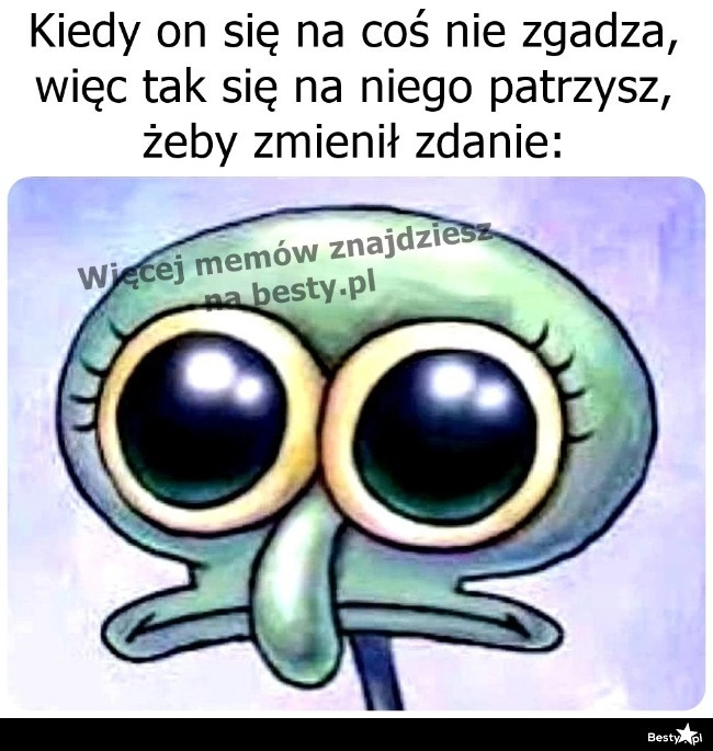 
    Czas na słodkie oczy 