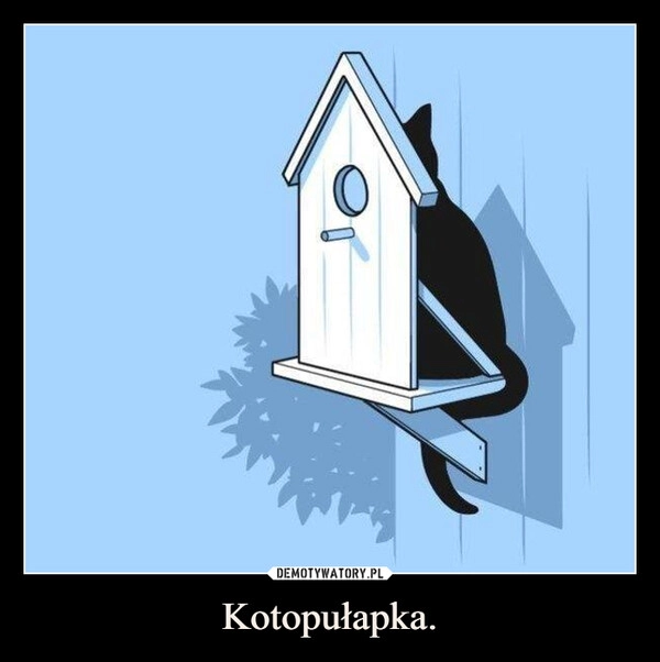 
    Kotopułapka.