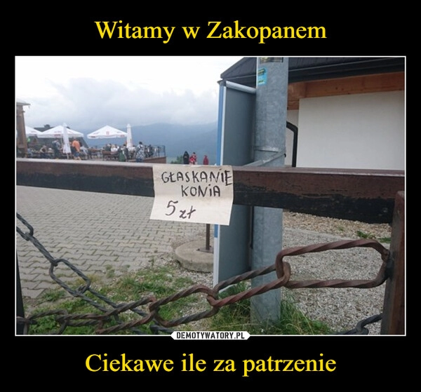 
    Witamy w Zakopanem Ciekawe ile za patrzenie