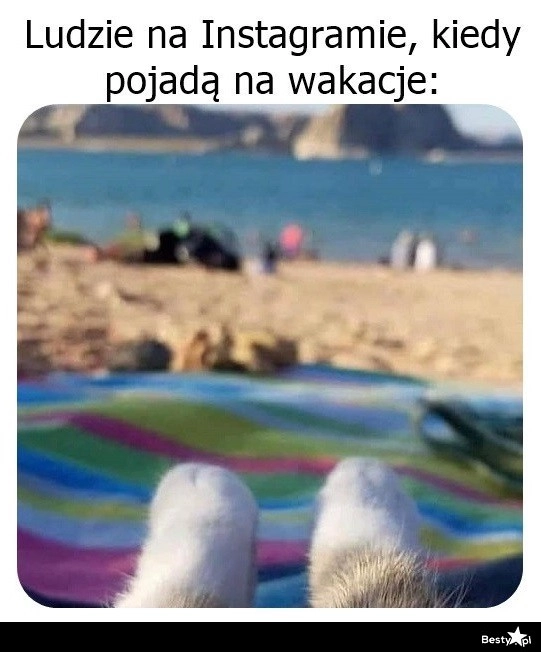 
    Zdjęcie z wakacji 