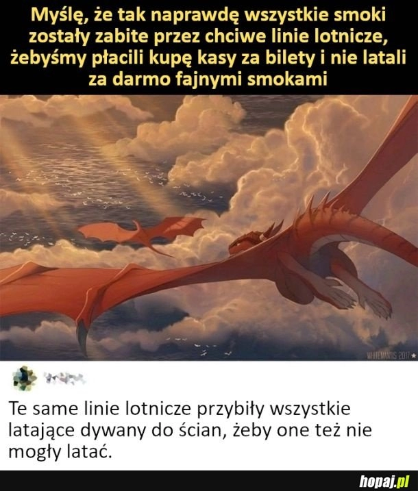 
    Złe linie lotnicze