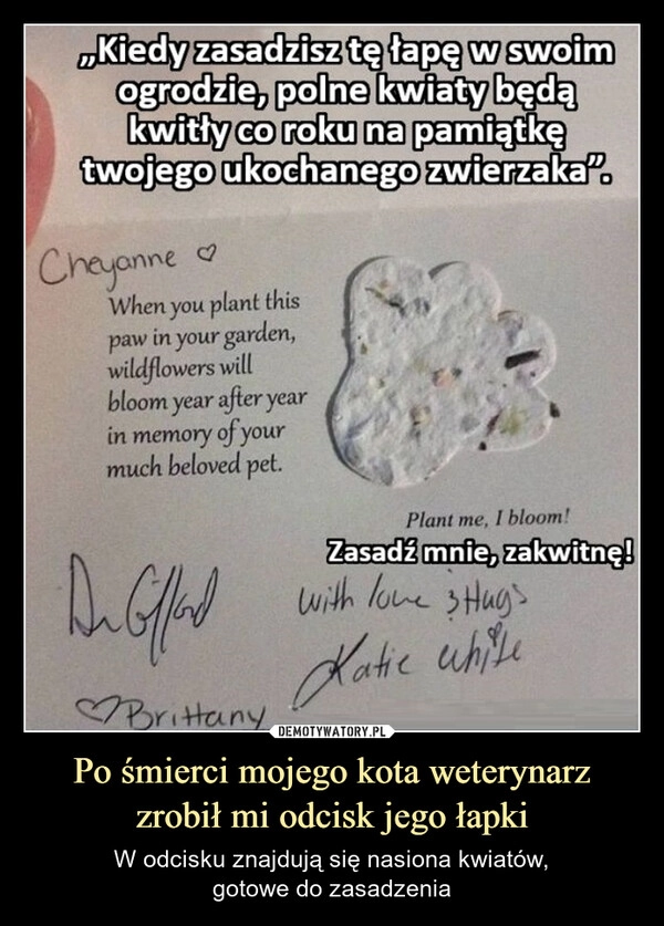 
    Po śmierci mojego kota weterynarz zrobił mi odcisk jego łapki