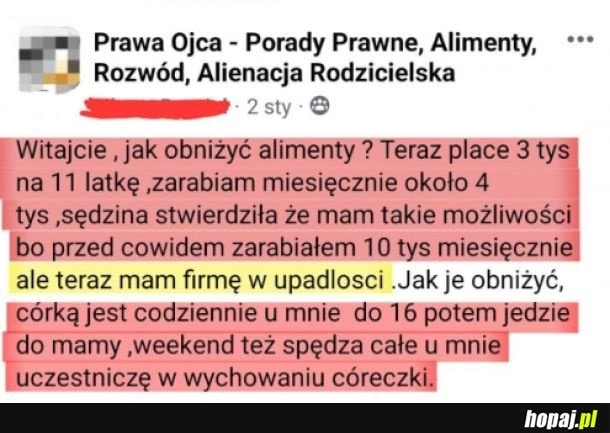 
    Obniżenie alimentów