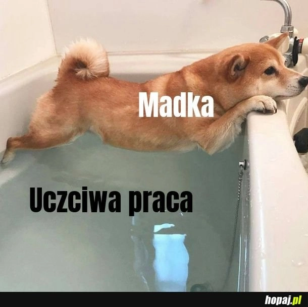 
    Nie chcę
