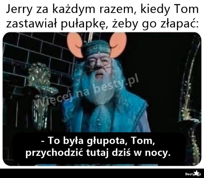 
    Tom i Jerry 