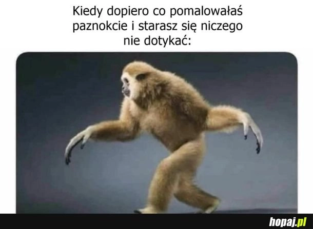 Paznokcie