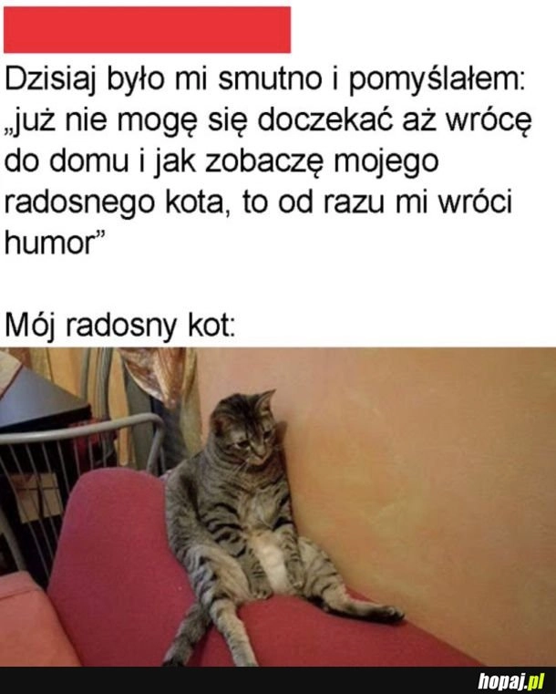 
    Bardzo radosny