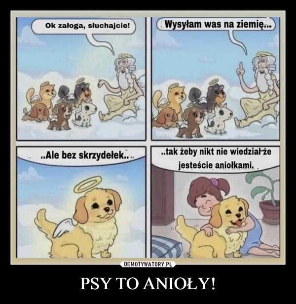 
    PSY TO ANIOŁY!