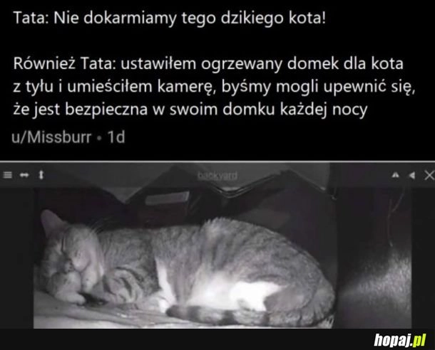 
    Zawsze się tak kończy
