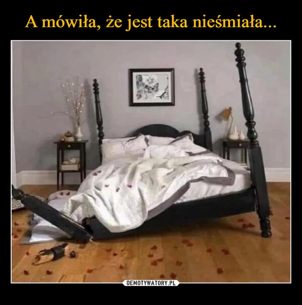 
    A mówiła, że jest taka nieśmiała...