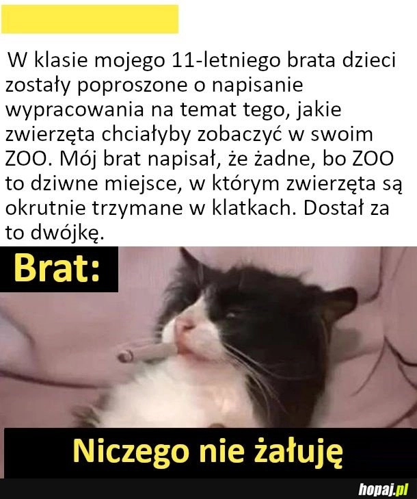 
    Niczego nie żałuję