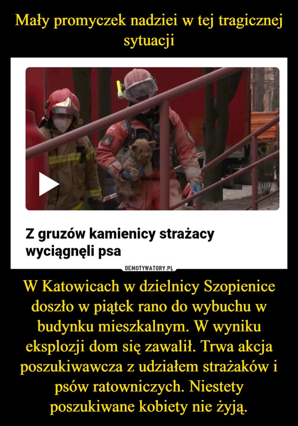 
    Mały promyczek nadziei w tej tragicznej sytuacji W Katowicach w dzielnicy Szopienice doszło w piątek rano do wybuchu w budynku mieszkalnym. W wyniku eksplozji dom się zawalił. Trwa akcja poszukiwawcza z udziałem strażaków i psów ratowniczych. Niestety poszukiwane kobiety nie żyją. 