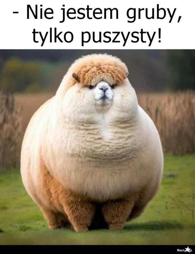 
    Puszystość 