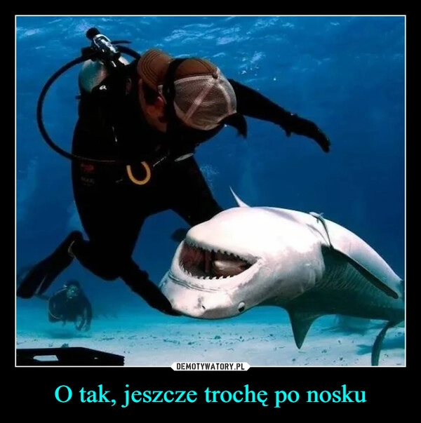 
    O tak, jeszcze trochę po nosku