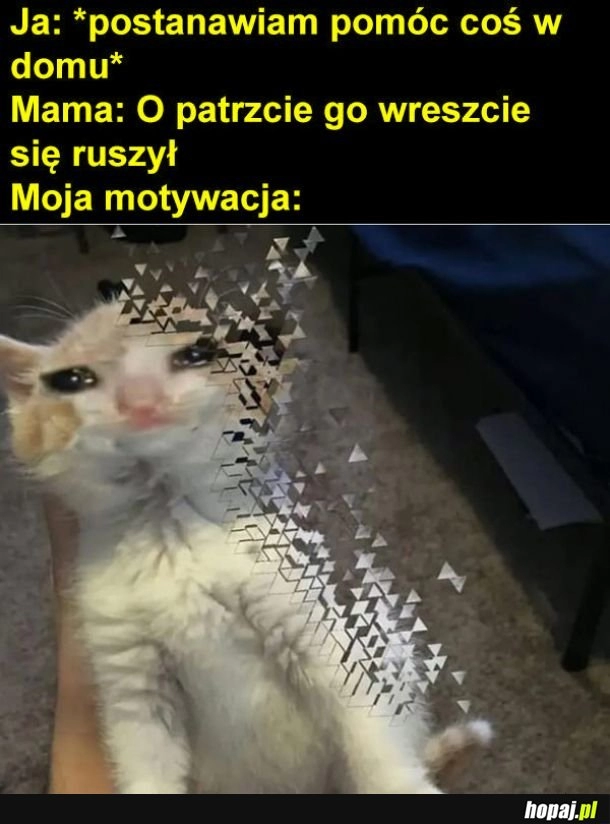 
    Już nie chcę