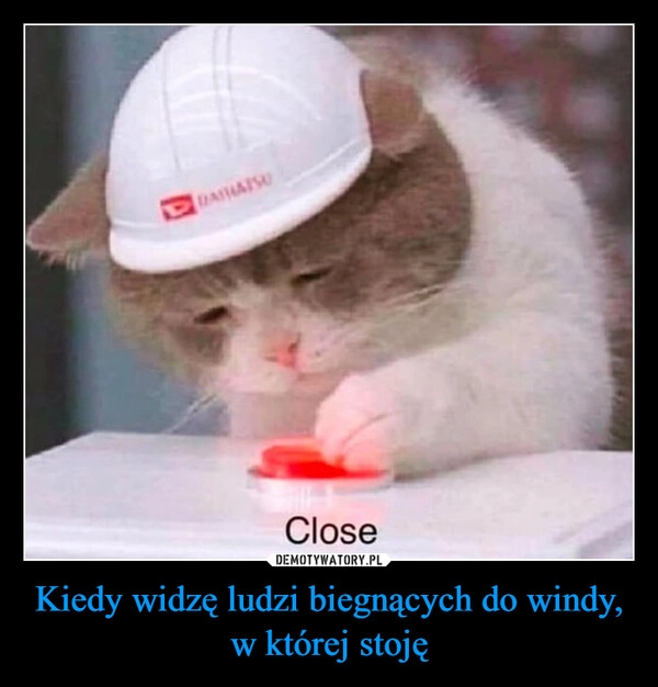 
    Kiedy widzę ludzi biegnących do windy, w której stoję