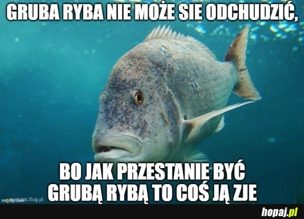 
    Dowcip miesiąca