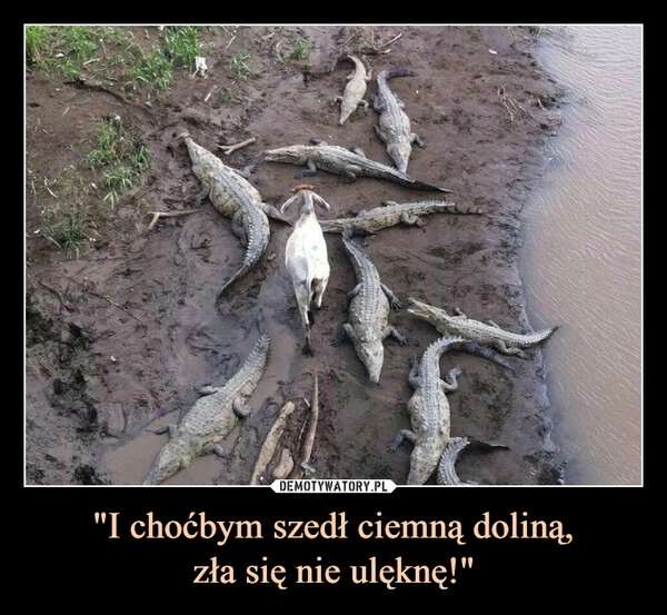 
    
"I choćbym szedł ciemną doliną,
zła się nie ulęknę!" 