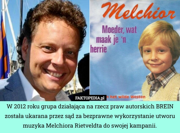 W 2012 roku grupa działająca na rzecz praw autorskich BREIN została ukarana
