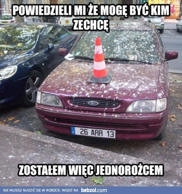 
    Ford jednorożec