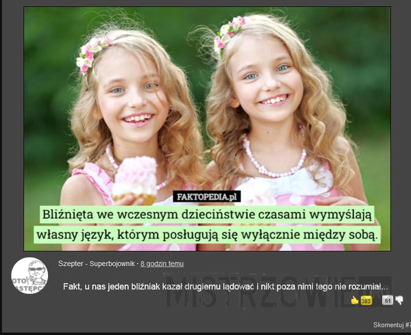 
    Bliźniacy