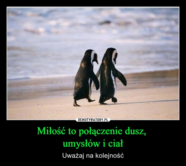 
    Miłość to połączenie dusz, 
umysłów i ciał