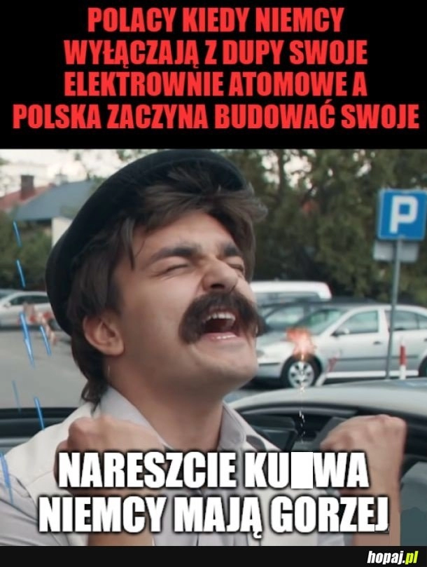 
    Niemcole głupole