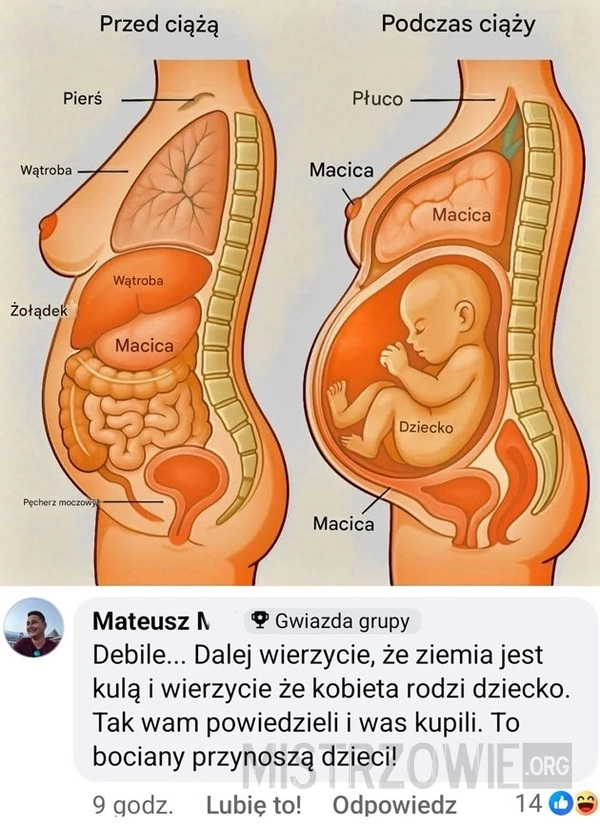 
    Ciąża
