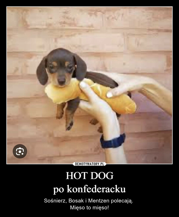 
    HOT DOG
po konfederacku