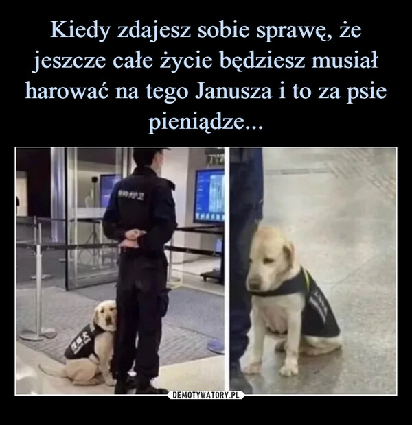 
    
Kiedy zdajesz sobie sprawę, że jeszcze całe życie będziesz musiał harować na tego Janusza i to za psie pieniądze... 