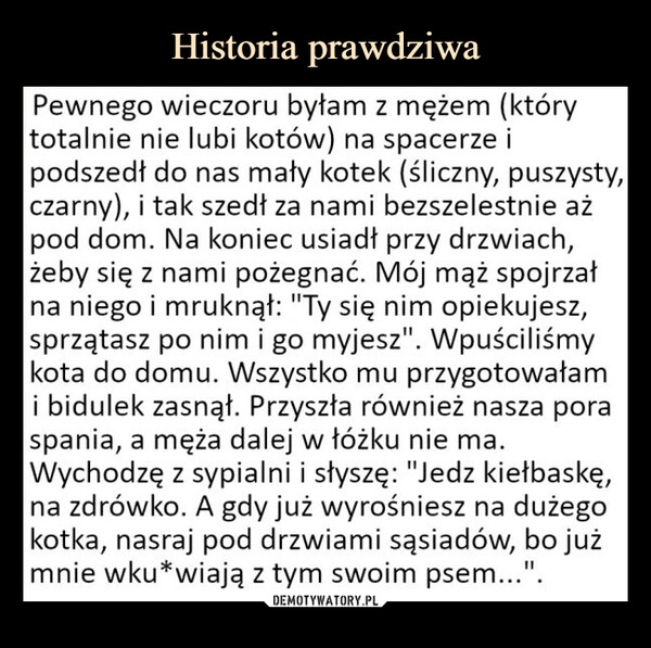 
    Historia prawdziwa 