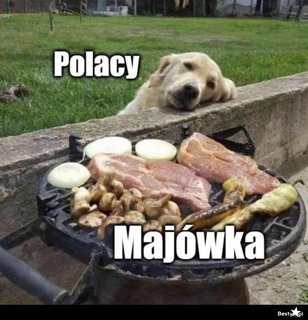 
    Majówka 