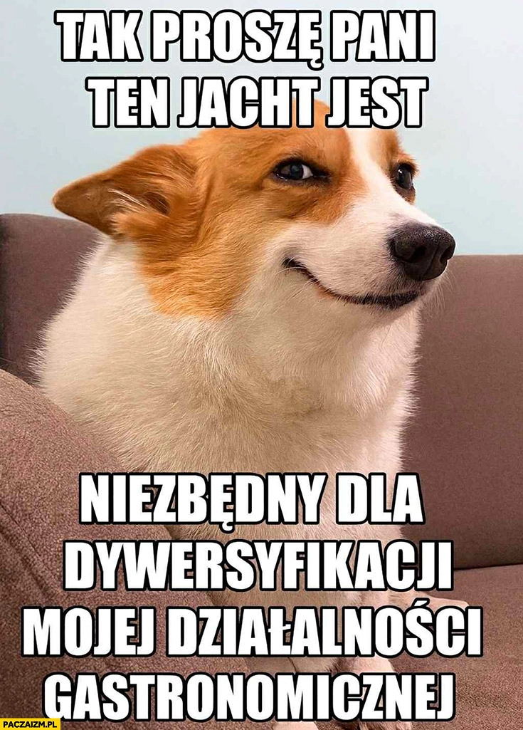 
    Tak proszę pani ten jacht jest niezbędny dla dywersyfikacji mojej działalności gastronomicznej