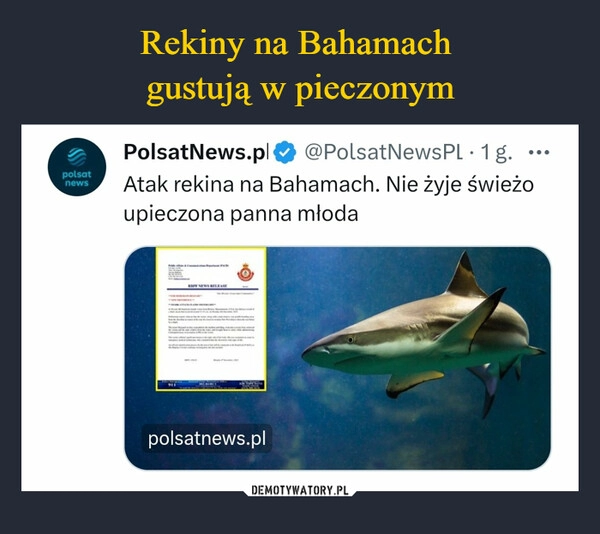 
    Rekiny na Bahamach 
gustują w pieczonym