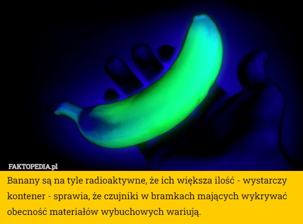 
    Banany są na tyle radioaktywne, że ich większa ilość - wystarczy kontener