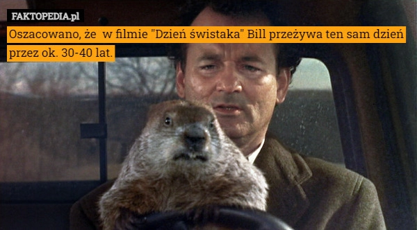 
    Oszacowano, że  w filmie "Dzień świstaka" Bill przeżywa ten sam