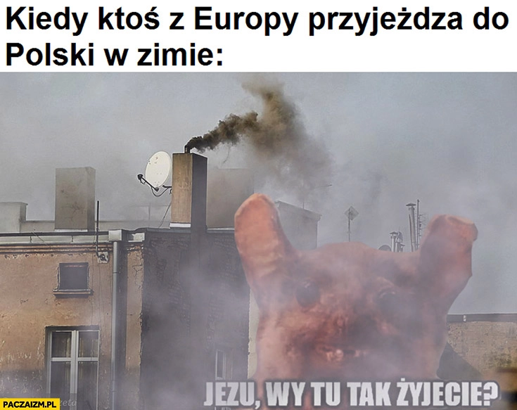 
    Kiedy ktoś z Europy przyjeżdża do Polski w zimie smog, Jezu wy tu tak żyjecie?